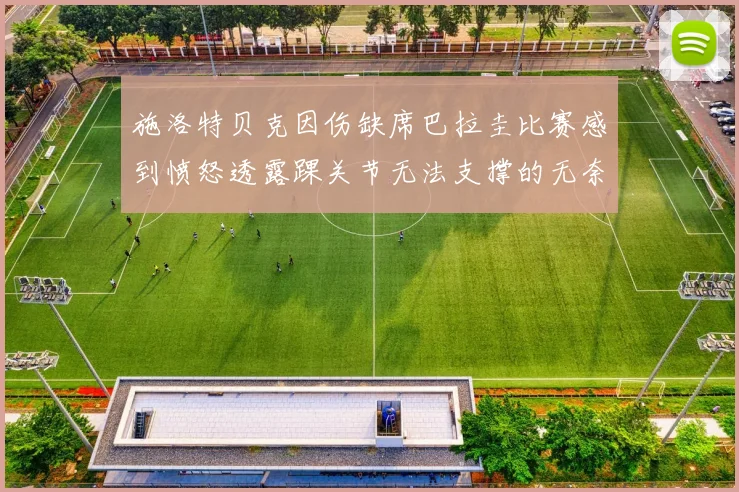 施洛特贝克因伤缺席巴拉圭比赛感到愤怒透露踝关节无法支撑的无奈